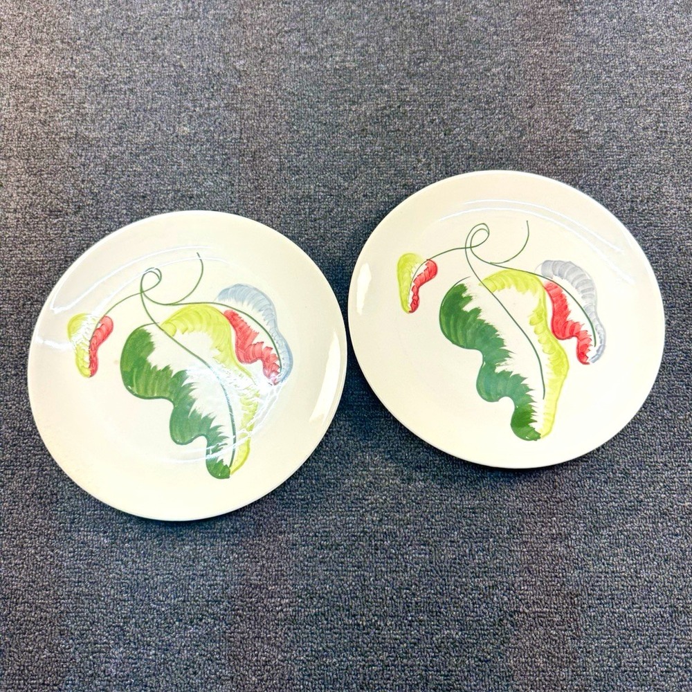 Blue Ridge Set of 2 Pottery Dinner Plates 10" Round Floral Shiny Finish
